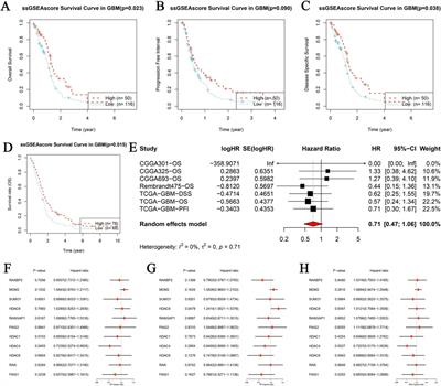 Paromomycin targets HDAC1-mediated SUMOylation and IGF1R translocation in glioblastoma